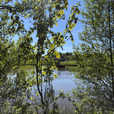 Billede af en sø og en masse grønne træer og marker